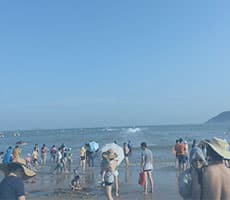 公司勾当