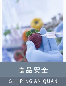 食物宁静